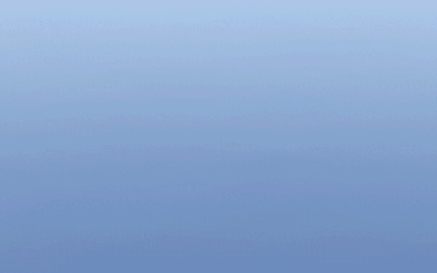 2024年海外华裔青少年“中国寻根之旅” 夏令营（湖北武汉营）开营