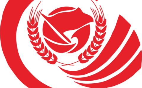 青少年军校数据联网存储平台即将正式启动  开启青少年军事教育新篇章