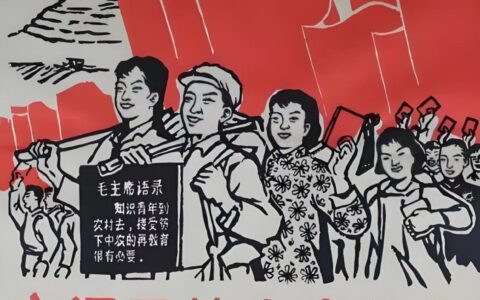 「新青年行动」新青年乡村振兴实践基地建设运营计划