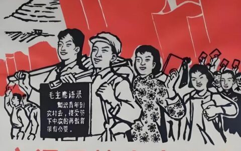 「新青年行动」新青年乡村振兴实践基地建设运运营计划