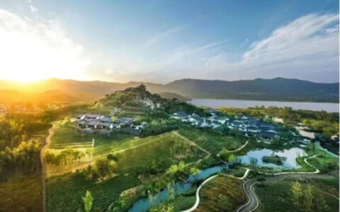 食为媒，传承弘扬中华优秀传统文化