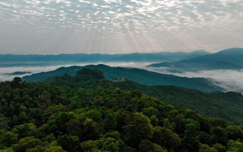 首届茶叶仓储窖藏峰会将在景迈山举办