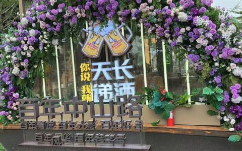 历史和现代的完美展示——青岛中山路印象