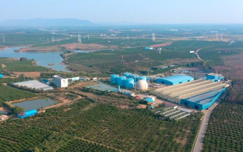 活力中国调研行｜“赣”出美丽！这里的乡村景美民富