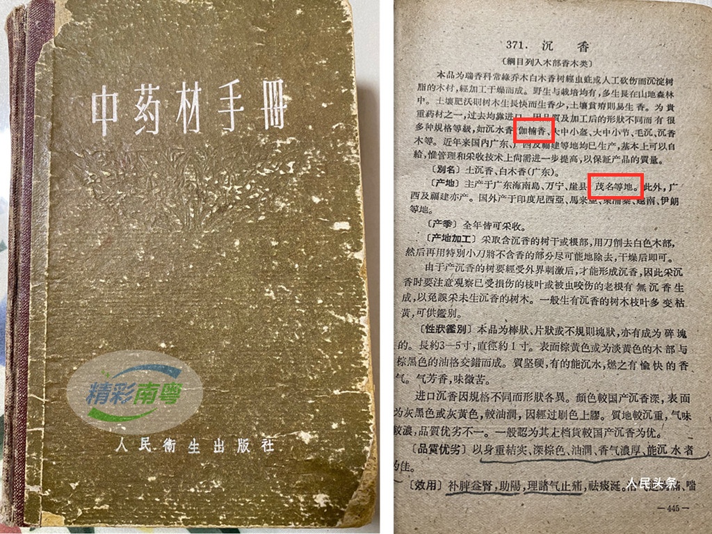 薪火相传文化根脉，汪科元获传承“沉香中药文化”非遗荣誉-图片2