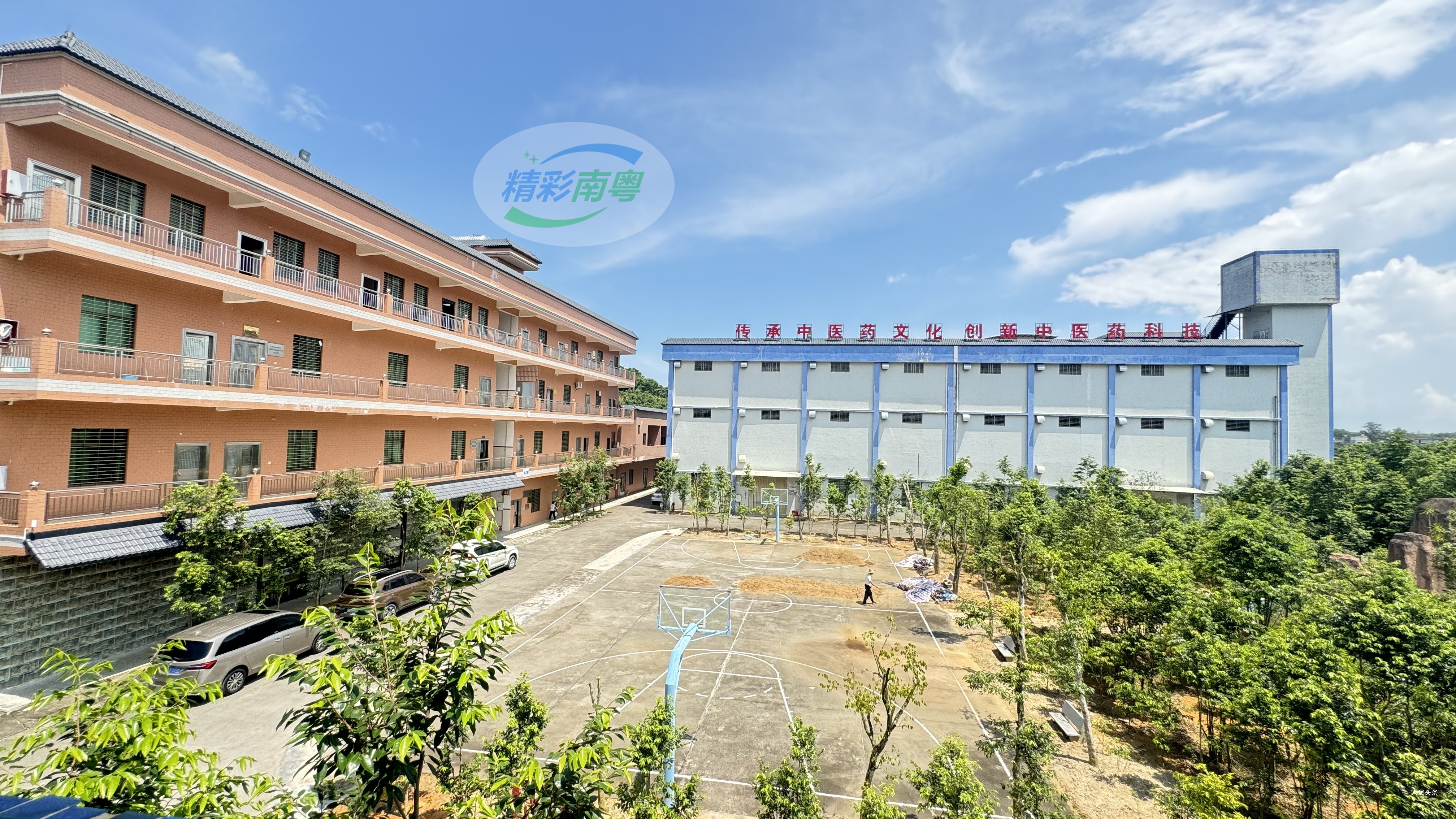 薪火相传文化根脉，汪科元获传承“沉香中药文化”非遗荣誉-图片4