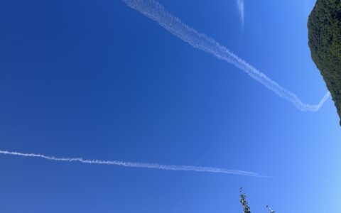 张凡凡：清新论（清新思想体系）第四版