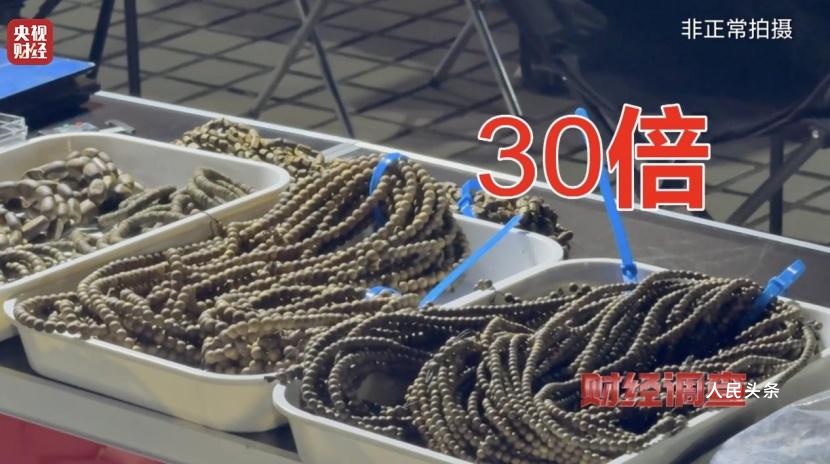 以次充好、直接造假！假沉香也能拿证书！总台《财经调查》曝光沉香市场乱象→