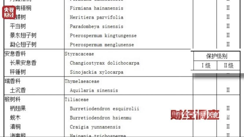 以次充好、直接造假！假沉香也能拿证书！总台《财经调查》曝光沉香市场乱象→