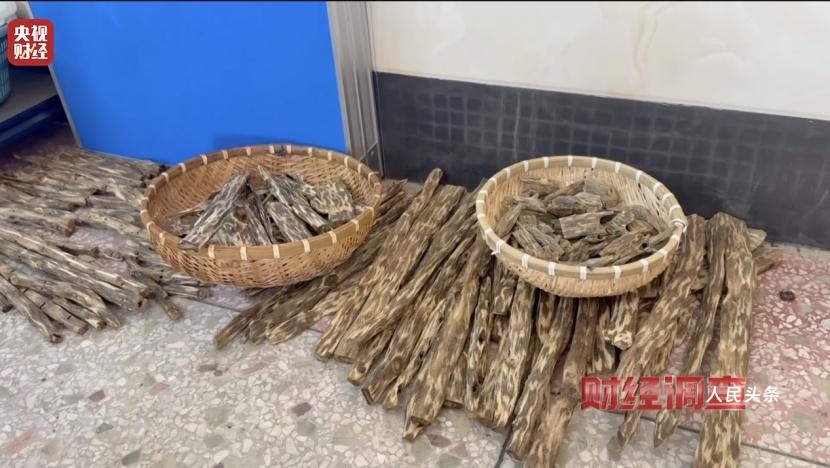 以次充好、直接造假！假沉香也能拿证书！总台《财经调查》曝光沉香市场乱象→