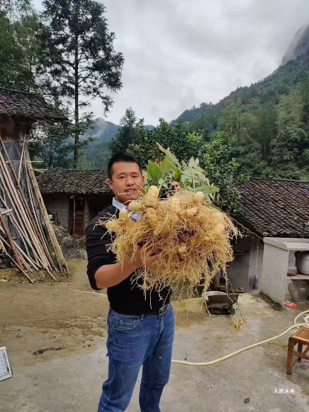 吴奇，青春在“黄精”岁月灼灼绽放-图片1