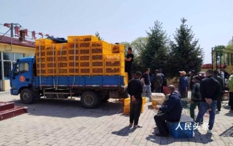 “奖”出一片新天地 ——内蒙古卓资县以奖促增巩固脱贫攻坚成果纪实