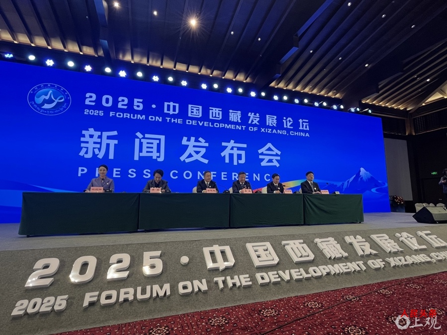 做好西藏国际传播,向世界客观展示真实、立体、全面的新西藏