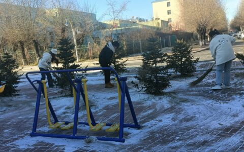 以雪为令 闻雪而动：银浪街道平安社区清雪除冰保畅通 暖心服务护平安