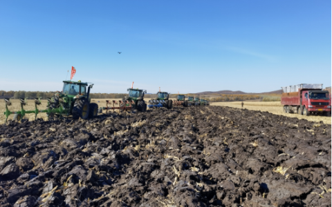 再利用，变资源——秸秆“变废为宝” 精心守护黑土地