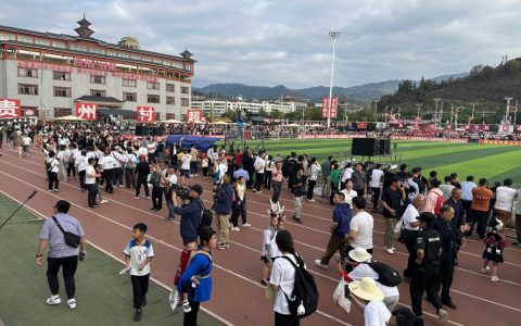 从流量狂欢到价值深耕：中国乡村振兴的战略逻辑与全球远征