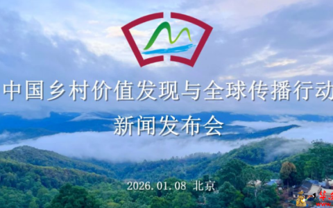 数字化赋能乡村振兴 全球重塑中国乡村价值