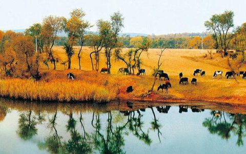 山西右玉连续八年获“中国最美县域”称号