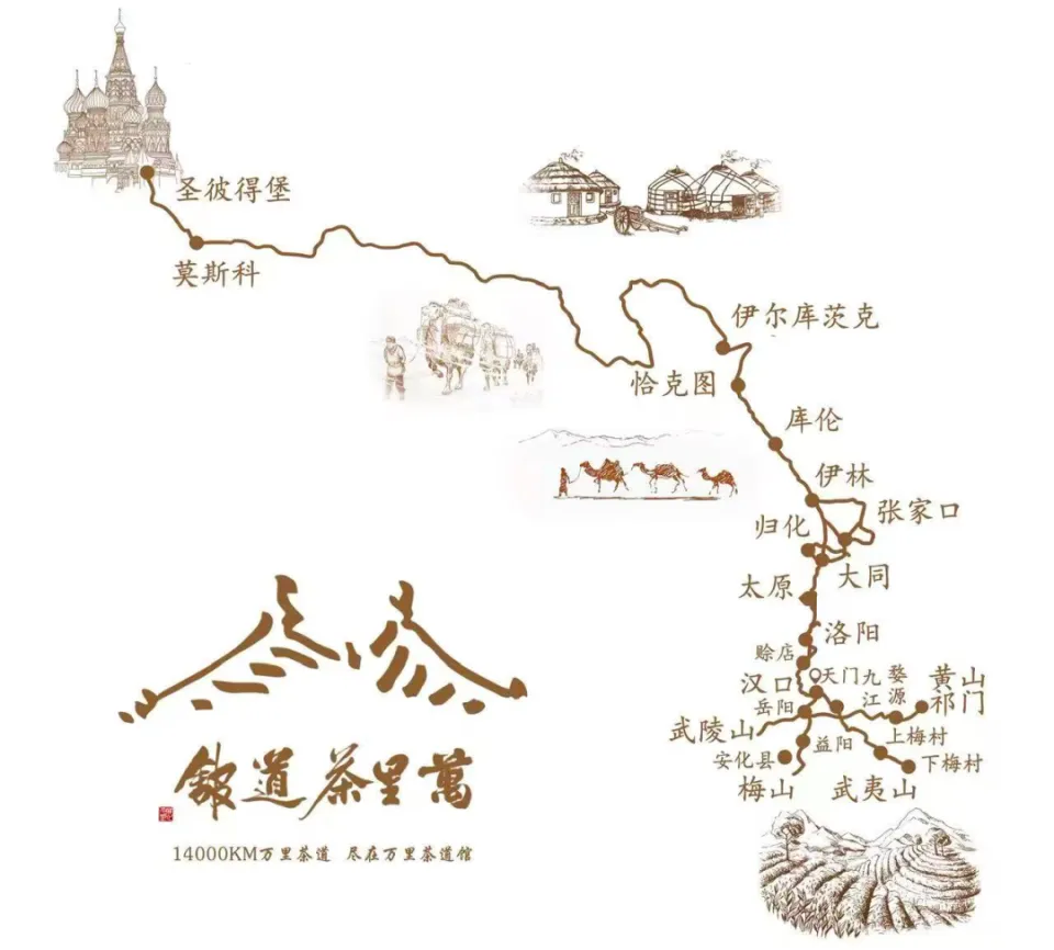 忠义茶香传千年:从陈氏家族迁徙到木杨城茶叶的当代复兴