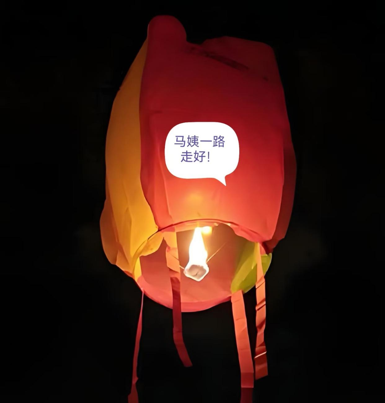 马姨走了，去天边很远的地方