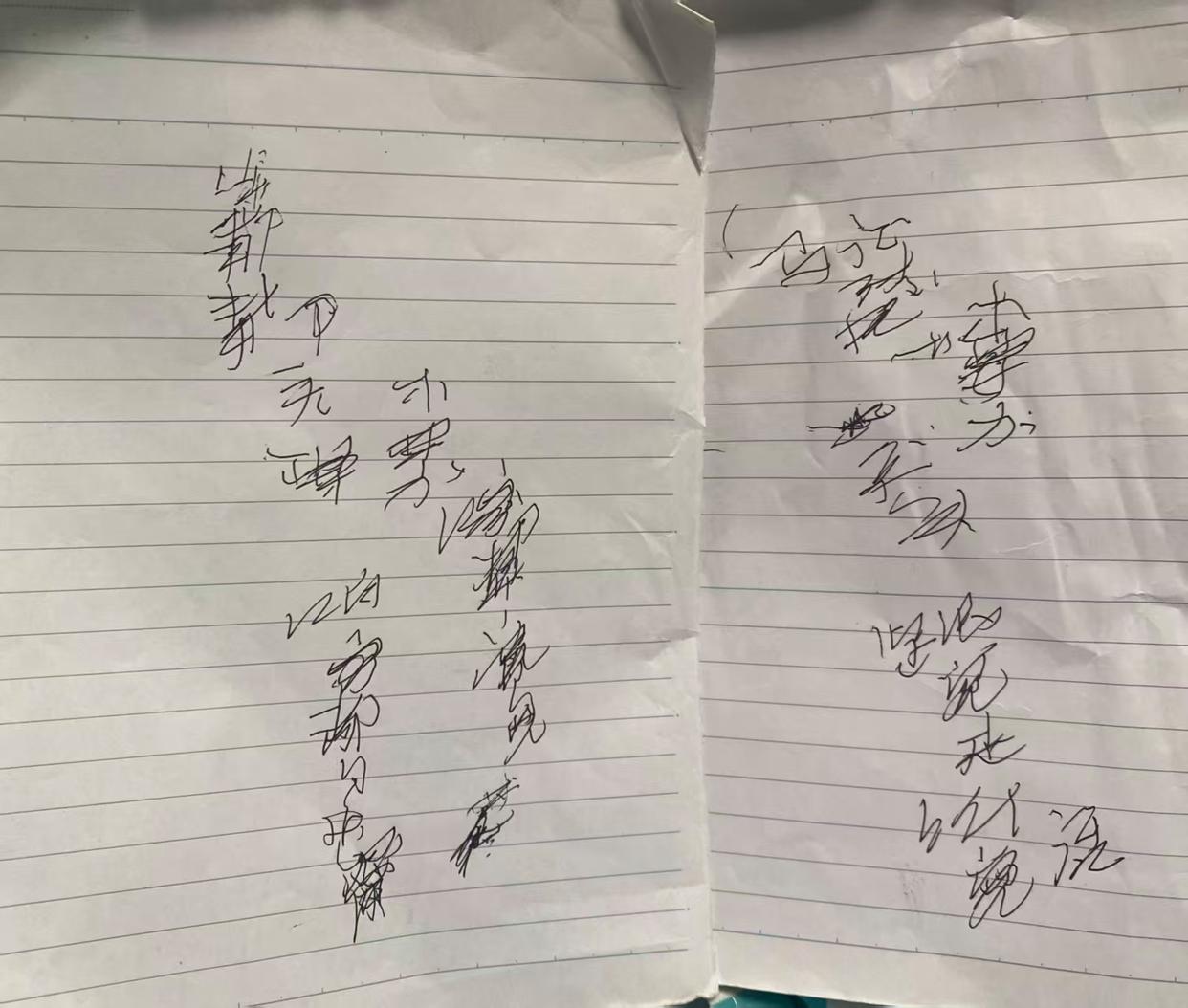 马姨走了，去天边很远的地方