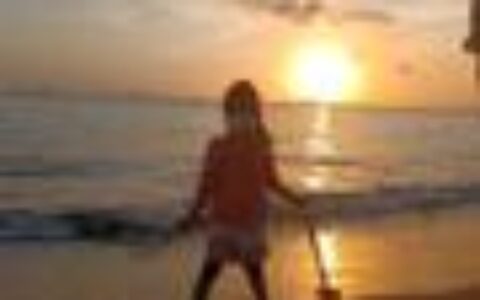 记者访谈：河南郑州岚图梦想家车主的“炮灰历险记 ”