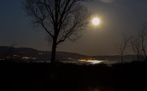 「丙午春节故事」除夕独坐