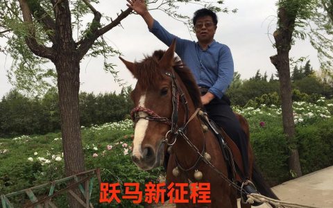 人间自有我风光