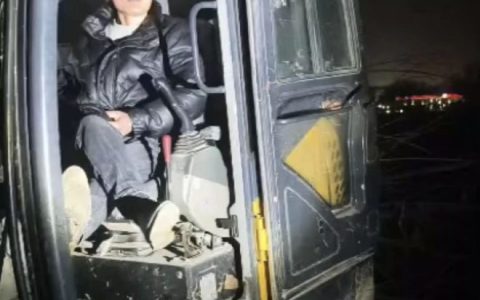 河南沈丘：“官方背书式”强砍民林，纪委压稿护短，解决不了问题，就解决提出问题的人