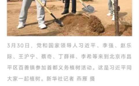 总书记植绿寄厚望 乐昌“茶杜共生”模式绘就乡村振兴共富新图景