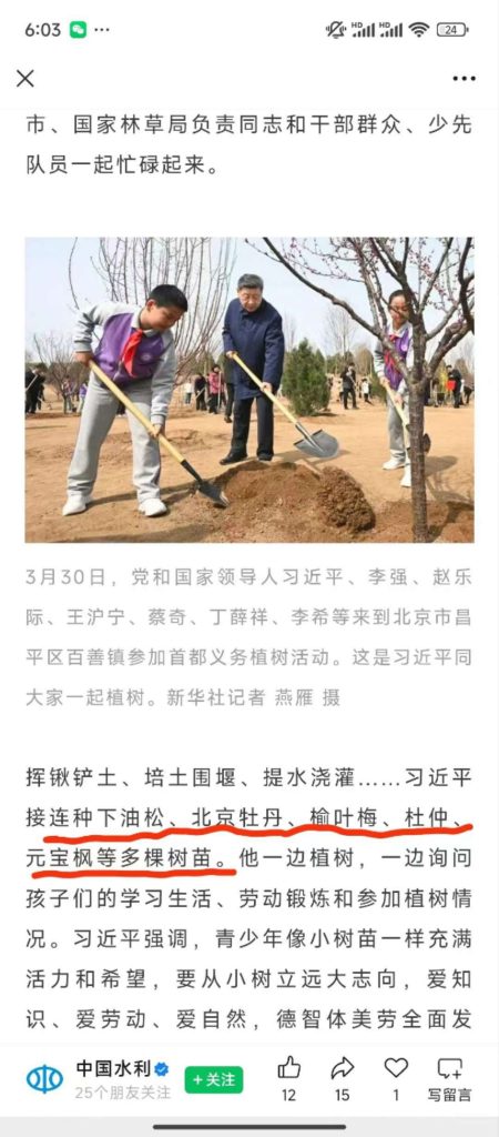 总书记植绿寄厚望 乐昌“茶杜共生”模式绘就乡村振兴共富新图景