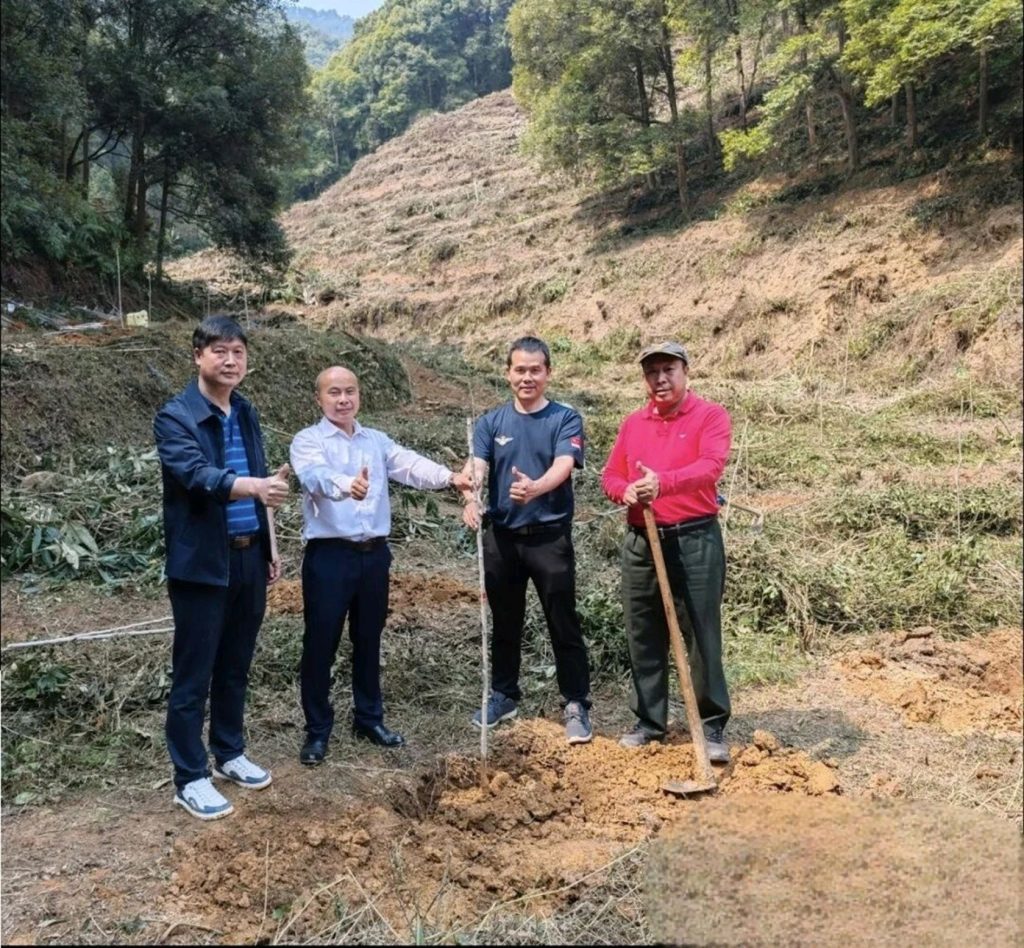 总书记植绿寄厚望 乐昌“茶杜共生”模式绘就乡村振兴共富新图景