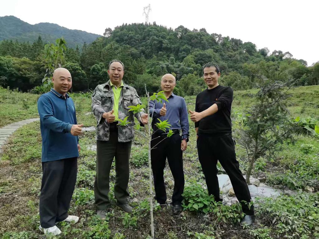 总书记植绿寄厚望 乐昌“茶杜共生”模式绘就乡村振兴共富新图景