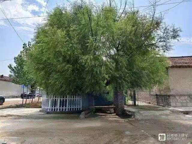 山东省东营市利津县北宋镇大盖村文献全编