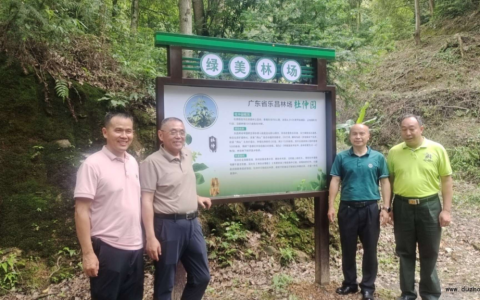微生物发酵赋能药食同源：乐昌竹筒粽演绎杜仲叶新质生产力传奇