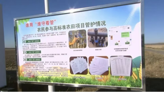 756万亩沃野筑基！大庆探索黑土地保护“建管养用”新路径