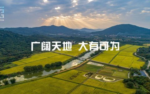 华聚网（华聚头条）分站负责人招募｜低门槛入局，共享互联网+乡村振兴新红利