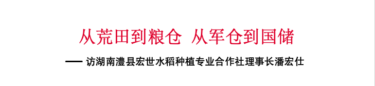 从荒田到粮仓 从军仓到国储——访湖南澧县宏世水稻种植专业合作社理事长潘宏仕