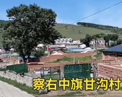 网红主播雪峰:用真情讲好乡村故事
