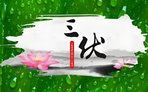 今日入伏！40天超长三伏上线，终于懂了伏天有长有短的真相