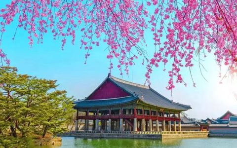 球员直言免兵役比金牌重要！韩国拟取消体育艺术兵役豁免